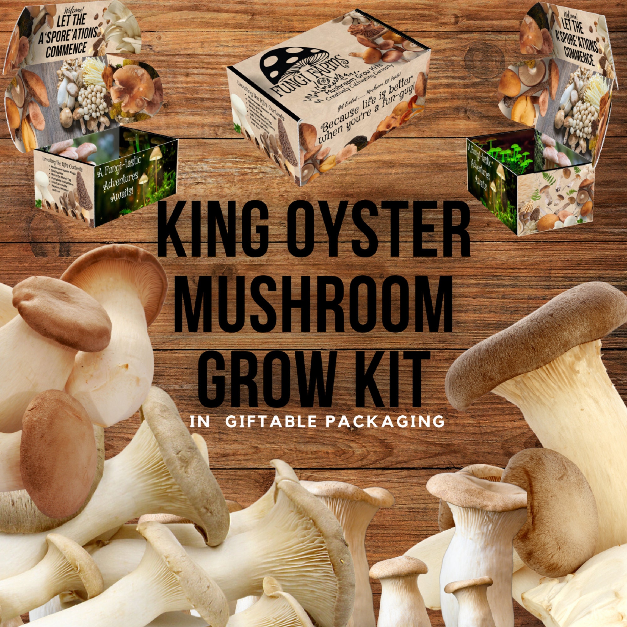 Mycélium de Girolle Grise - Kit culture Champignons - grow mushrooms kit