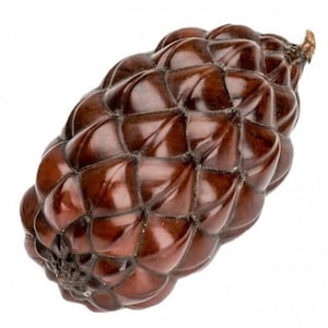 May include: A brown, textured, cone-shaped object with a woven pattern. The object is made of a natural material and has a glossy finish.