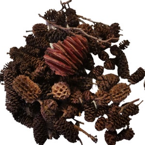 May include: A pile of brown and tan pine cones with a few red and brown pinecone-shaped decorations.
