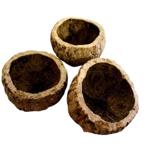 May include: Three empty, brown, coconut shells with a rough, textured surface. The shells are hollowed out and have a rounded, bowl-like shape.