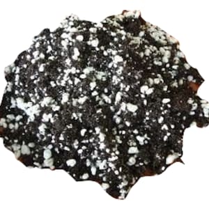 Pode incluir: Um close-up de uma mistura de terra marrom escura com perlita branca. A terra é uma mistura de matéria orgânica e pequenas pedras brancas.