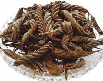 Fusilli Pods Pack of 6 - Helicteres Isora - Natural Dried Fruit and Seed Pods - Terrarium and Vivarium Accessories