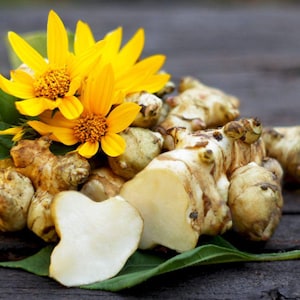 May include: Jerusalem artichokes with bright yellow flowers and green leaves. The artichokes are a mix of tan and beige, with a cut piece revealing a white interior. Set against a dark wooden background.