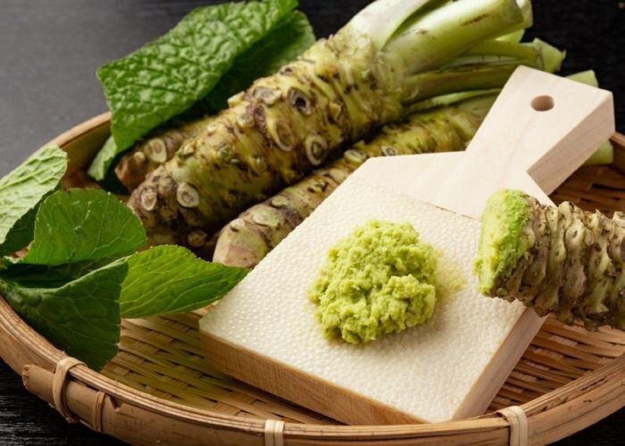 Wasabi / Japanse mierikswortel - Wasabia japonica - zeldzame groente - Etsy  België