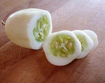 ドラゴンの卵キュウリ - Cucumis sativus - 希少な伝統野菜