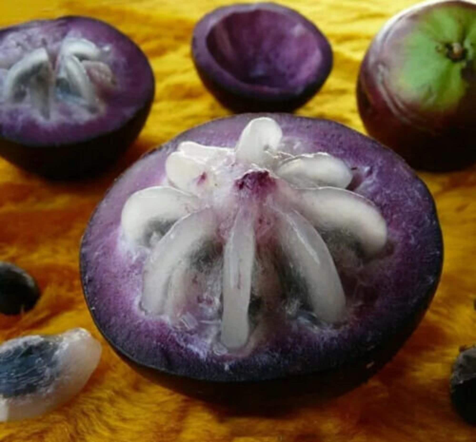 Black sapote fruit - Etsy 日本