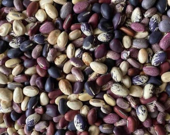 Frijoles espada africanos - Surtido - Canavalia gladiata - Vegetal ancestral poco común