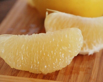 Frutas cítricas Pomelo Branco - Citrus sp. - Sementes raras de 'frutas' - Pomelo, Amarelo-Laranja, Toranja Chinesa, Jabong, Toranja Chinesa Branca