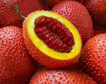 May include: Close-up of a group of spiky, red fruits. One fruit is cut open, revealing a bright yellow flesh and a red, fleshy seed pod.