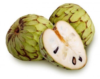 Cherimoya Custard Apple - Annona cherimola - Rare 'Fruit' Seeds - Custard Apple, Green-White, Chirimoya, Custard Apple Fruit
