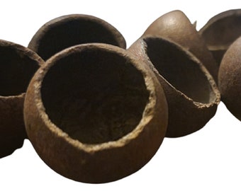 Kuchila Pods -  Hiding Spots for Gecko, Spiders and Even Fish - Terrarium and Vivarium Accessories