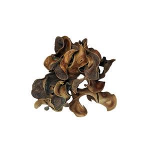 Puede incluir: Un montón de corteza seca marrón y marrón oscuro, que se asemeja a una flor o un grupo de hojas.