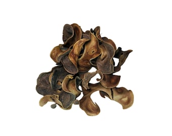 Cápsulas rizadas - Botánica para acuarios - Delicioso snack para isópodos - Decoración para acuarios y vivarios