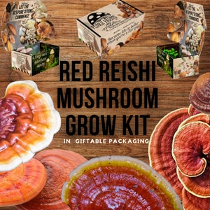 Red Reishi Mushroom Growing Kit - Ganoderma lucidum - DIY Spawn Spore Plugs Mushroom Grow Kit with gift Box - Indoor Fungi Cultivation