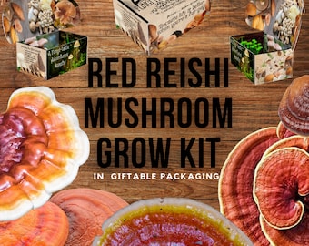 Red Reishi Mushroom Growing Kit - Ganoderma lucidum - DIY Spawn Spore Plugs Mushroom Grow Kit with gift Box - Indoor Fungi Cultivation