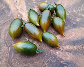 Emalia Tomate - Solanum lycopersicum - Seltenes altes Gemüse