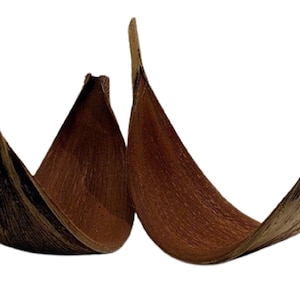 May include: Two brown, dried palm leaves, curved into a U-shape, are arranged to form a decorative piece.