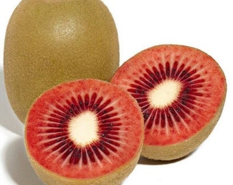 Ruby Red Fleshed Kiwi - Actinidia sp. 'Red' - Rare 'Fruit' Seeds - Red kiwi, Red-Orange, Red heart kiwi, Scarlet Kiwi, Red-Fleshed Kiwifruit