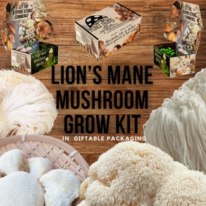 Puede incluir: Un kit de cultivo de setas de melena de león en una caja de regalo con fondo de madera. La caja tiene un diseño de setas y el texto "Fungi Farms" y "Because life is better when you're a fun-guy". El kit incluye una seta blanca y una seta marrón.