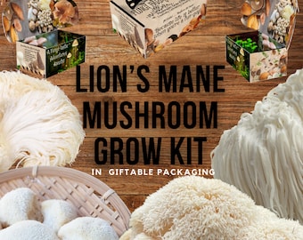 Lion's Mane Mushroom Growing Kit - Hericium erinaceus - DIY Spawn Spore Plugs Mushroom Grow Kit with gift Box - Indoor Fungi Cultivation