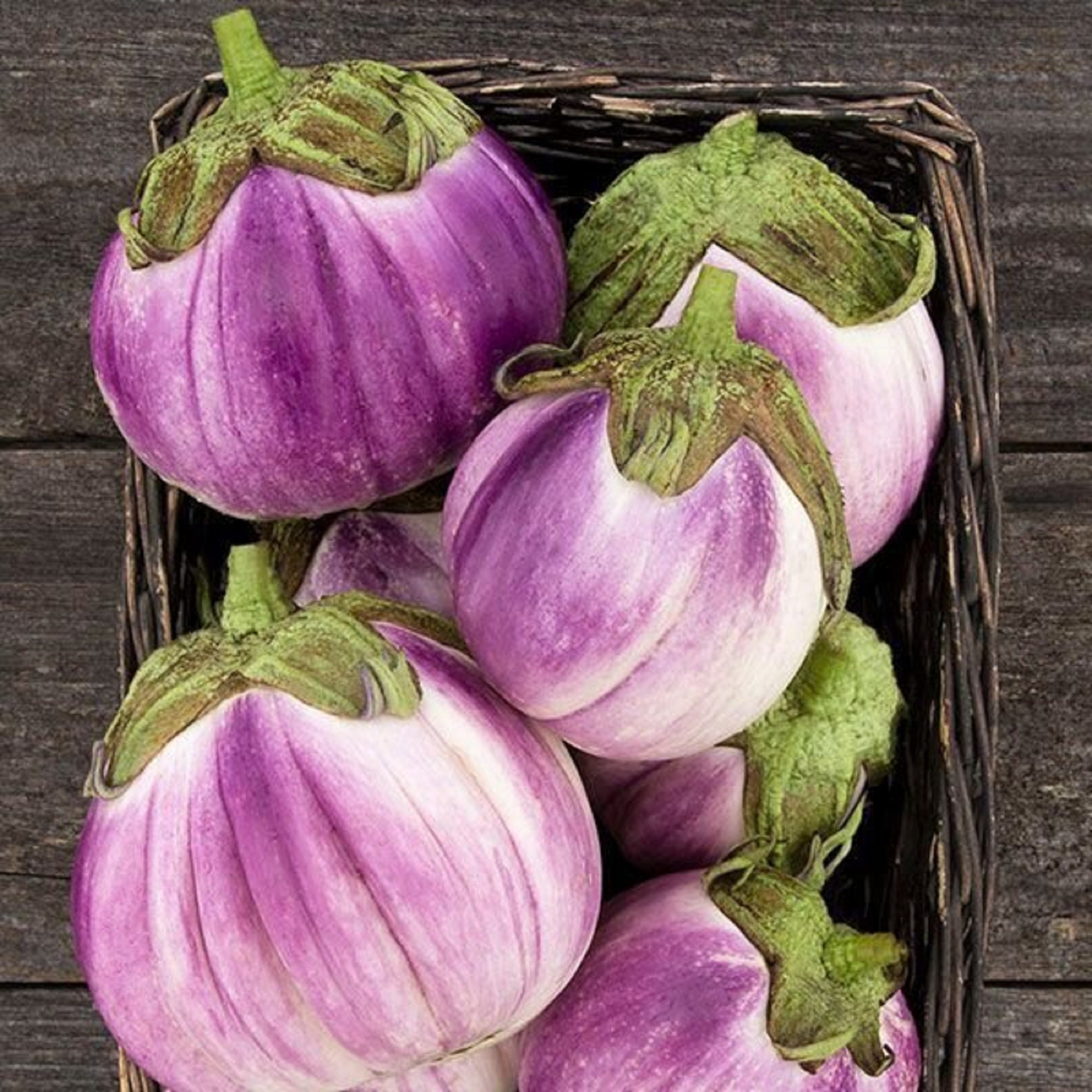 シチリア産ローザビアンカナス - Solanum melongena - 希少な伝統野菜