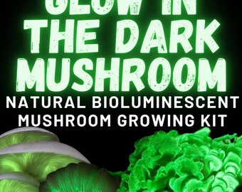 Glow in the Dark Mushroom Growing Kit - Panellus stipticus- DIY Bioluminescent Glowing Mushrooms Spawn Spore Plugs Grow Kit with Gift Box