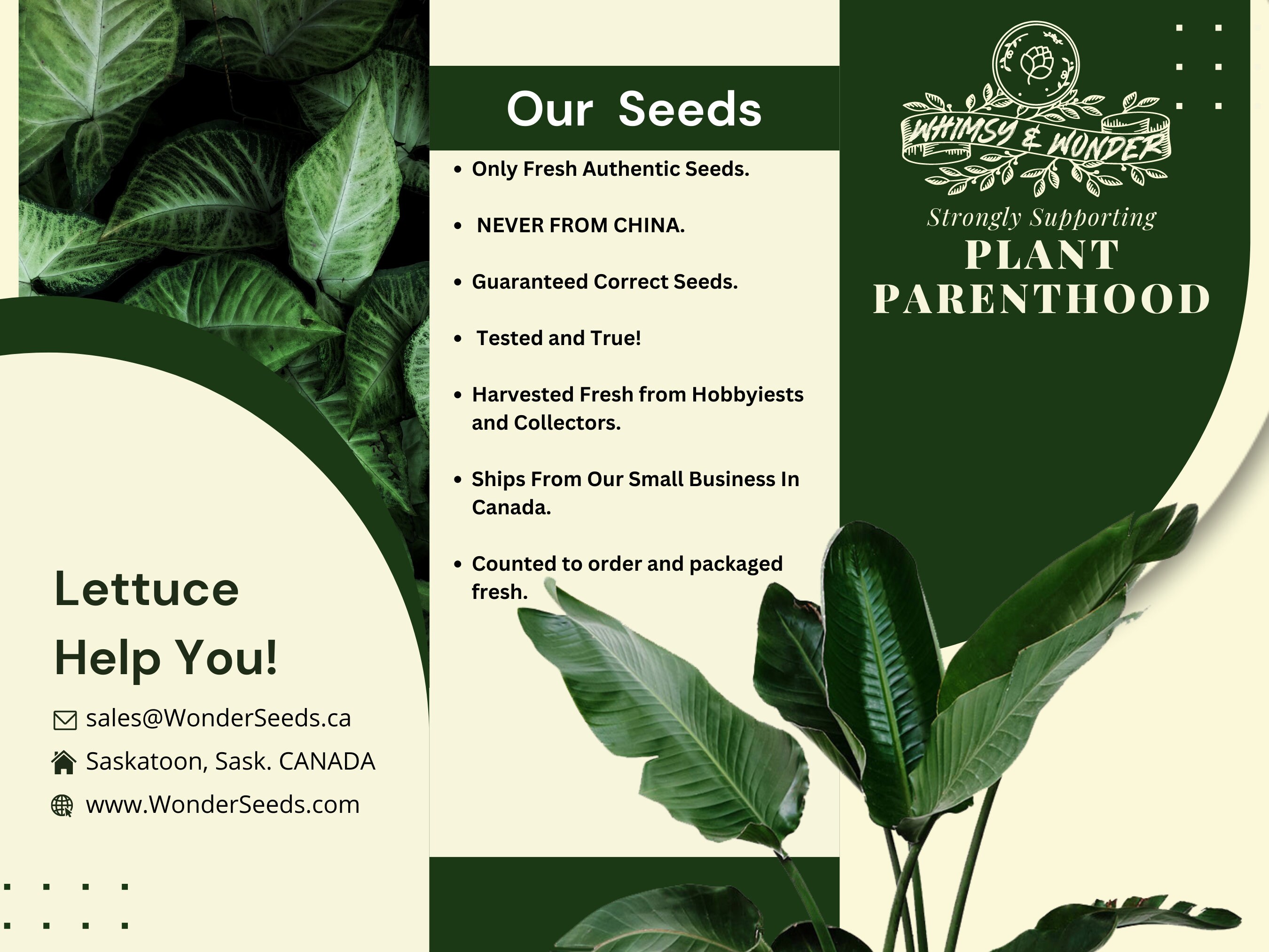 Rebecca Mobili Albero Di Natale Abete Artificiale Verde Piccolo 60 Cm - Foto 8