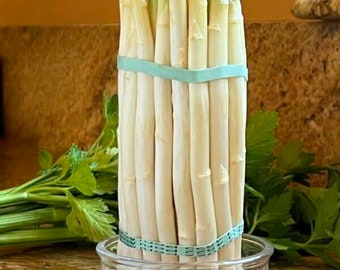 Espárragos blancos - Asparagus officinalis - Verduras tradicionales raras