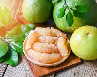 Pomelo Citrinos - Citrus maxima - Sementes de 'frutas' raras - Pomelo, Amarelo-Laranja, Pummelo, Toranja Chinesa, Pompelmous, Limão Bali