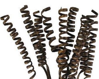 Cane Springs - terrariumdecor - prachtige handgemaakte bronnen voor aquascape - natuurlijk gedroogd riet