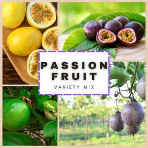 Fruta de la pasión mixta - Passiflora sp. - Especies de frutas raras