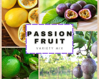 Fruta de la pasión mixta - Passiflora sp. - Especies de frutas raras