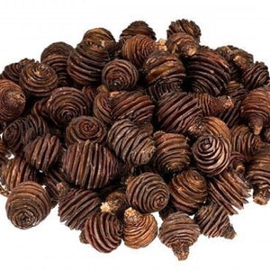 May include: A pile of brown pine cones, each with a spiral pattern. The cones are arranged in a random pattern, with some overlapping.