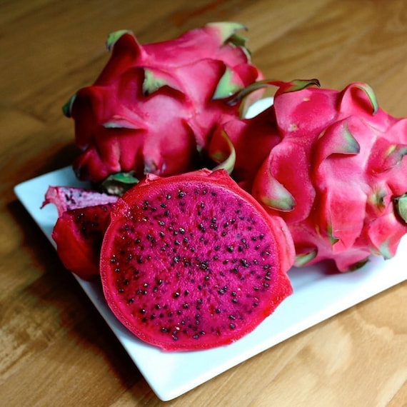 Hylocereus Costaricensis dragon fruit