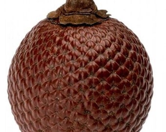Snake Pod - Laranja Nut Is the Fruit of the Buriti Palm - Buriti Fruit - Skin of Fruit Is Scale-Like and Resembles of a Snake