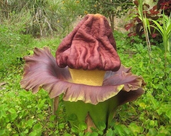Elefantenfuß Yamswurzel - Amorphophallus Paeoniifolius - Seltene 'Plant' Samen - Elefanten Yamswurzel, Braun-Gelb, Weißflecken-Riesenwurz, Voodoo Lilie