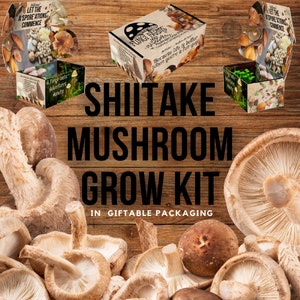 Shiitake Mushroom Growing Kit - Lentinula edodes - DIY Spawn Spore Plugs Mushroom Grow Kit with gift Box - Indoor Fungi Cultivation Copy