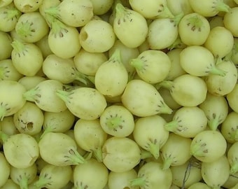 Op de afbeelding: Een close-up afbeelding van een stapel kleine, lichtgroene, peer-vormige vruchten.