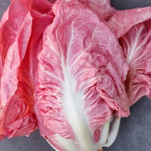 Peut inclure: Gros plan sur une tête de laitue radicchio. Les feuilles sont d'un rouge rosé vif avec des nervures blanches proéminentes. Les feuilles sont serrées, avec une texture légèrement froissée. Le fond est gris.
