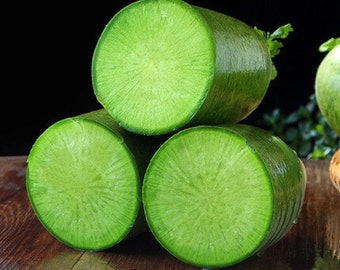 Rábano de fruta chino Shawo - Raphanus sativus - Verdura de herencia rara