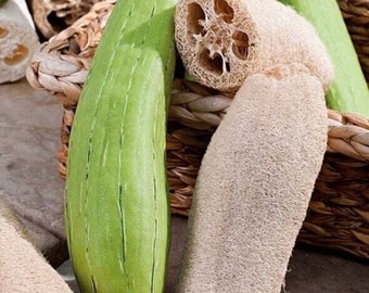 Luffa gąbczasta tykwa - Luffa aegyptiaca - rzadkie nasiona „roślin” - luffa, gąbczasta tykwa, różowo-beżowa, tykwa ścierna, szmata tykwa, Luffa aegyptiaca