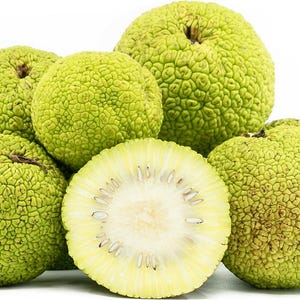 May include: A group of green osage orange fruits, also known as hedge apples, with one fruit cut in half to reveal the white flesh and seeds inside.