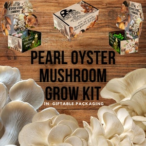 Pearl Oyster Mushroom Growing Kit - Pleurotus ostreatus - DIY Spawn Spore Plugs Mushroom Grow Kit with gift Box - Indoor Fungi Cultivation