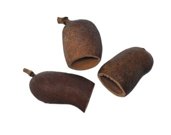 Vainas de Jatoba - Vaina del fruto del almendro - Decoración natural para terrarios, paludarios y vivarios - Árbol botánico natural - Decoración para terrarios de reptiles
