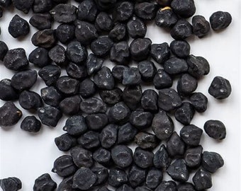 Black Garbanzo Beans / Black Chichpeas - Cicer arietinum - Rare Heirloom Vegetable