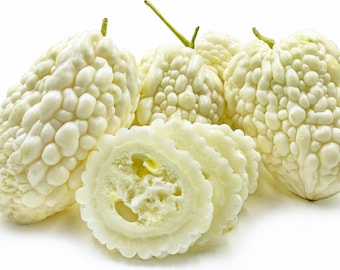 Melón amargo (blanco puro) - Momordica charantia - Vegetal ancestral poco común