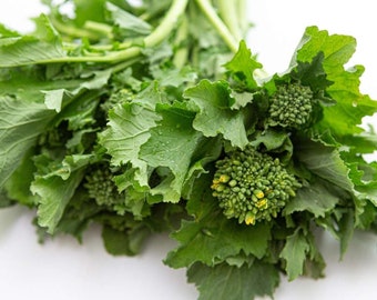 Rapini Broccoli / Broccoli Rabe - Brassica rapa - Rare Heirloom Vegetable