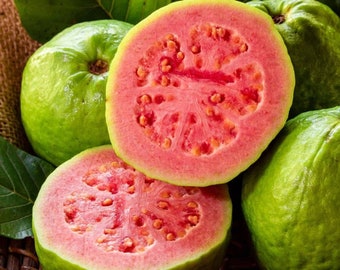 Guava Fruit / Guayaba - Psidium guajava - Rari semi di 'frutta' - Guava Berry, Verde-Rosso, Guava Apple,Guajava Fruit,Tropical Guava,Lemon Guava