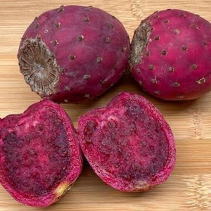 Purple Passion Prickly Pear - Opuntia streptacantha &#39;Zacatecas Purple&#39;  - Rare Cactus Seeds - Purple Prickly Pear, Zacatecas Purple Cactus