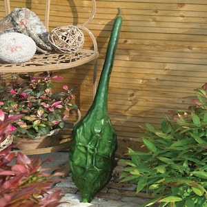 Caveman&#39;s Club Gourd - Lagenaria siceraria - Rare Heirloom Vegetable